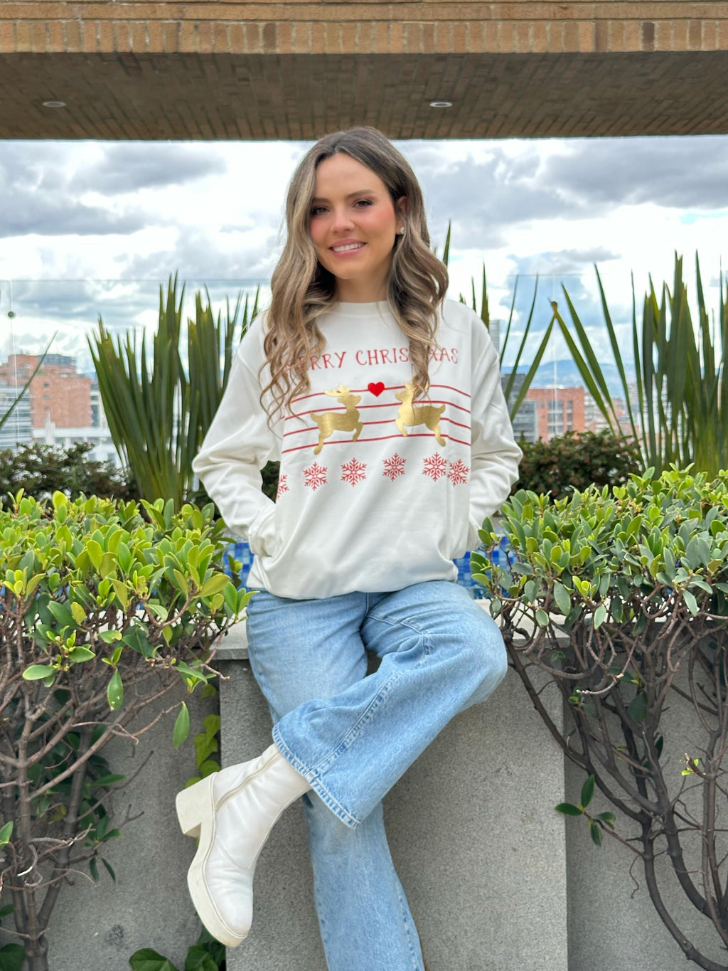 HOODIE AMOR DE RENOS NAVIDEÑOS